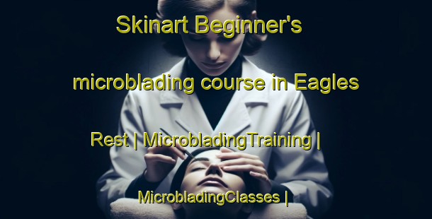 Skinart Beginner's microblading course in Eagles Rest | MicrobladingTraining | MicrobladingClasses | SkinartTraining-United States